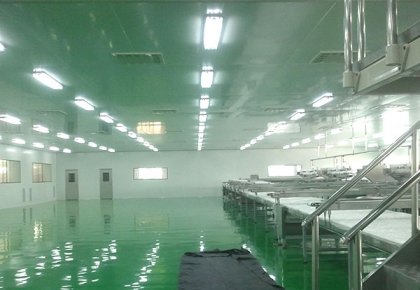 GMP洁净厂房案例